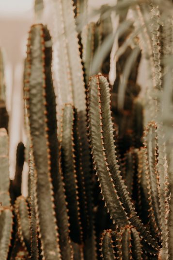 antoine-valerie-engagement-5377-scaled