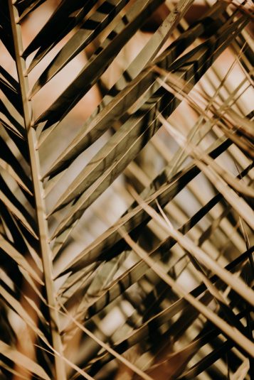 antoine-valerie-engagement-5222-scaled