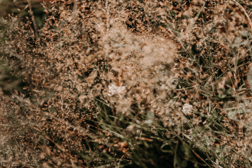 manie-yoga-nantes-21-5420