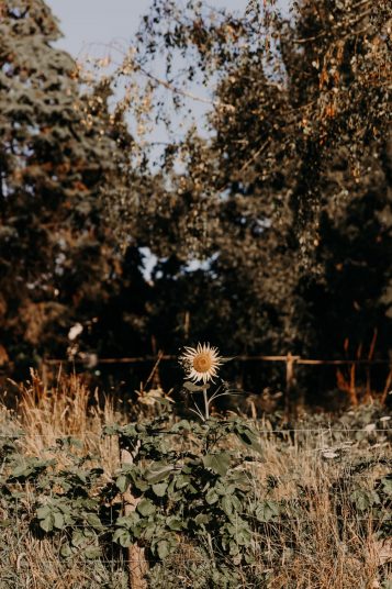 manie-yoga-nantes-21-5535-scaled