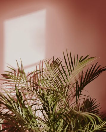 blime-lesdessousdemarine-1Q9A3686-scaled