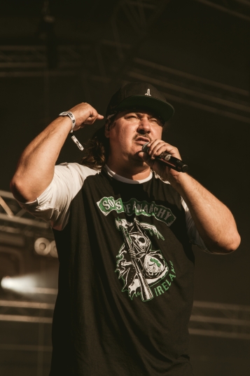 hellfest-2018-photos-report-5277