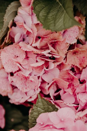 justine-jeremie-mariage-dieppe-7795-scaled