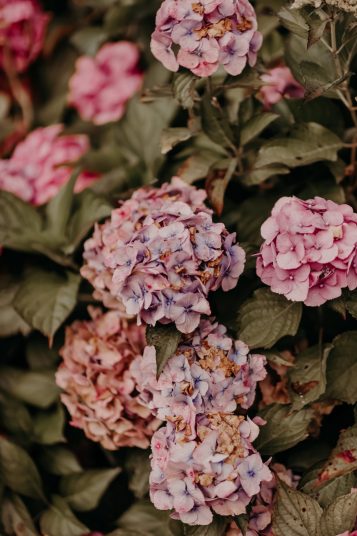 justine-jeremie-mariage-dieppe-8906-scaled