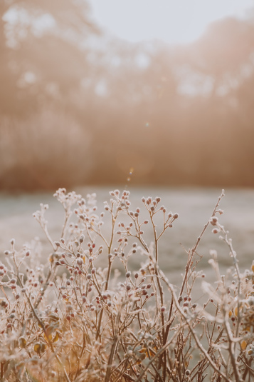 kanope-automne-hiver-21-22-1211