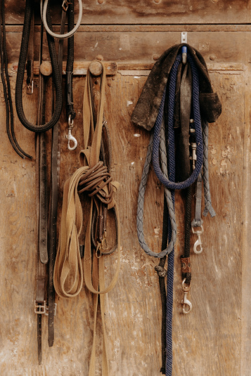 Kanope-AH25-9843