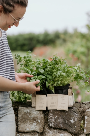 la-box-a-planter-2019-7942