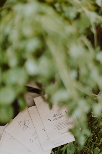 la-box-a-planter-2019-7969