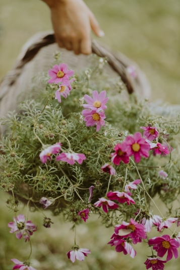 la-box-a-planter-2019-8204