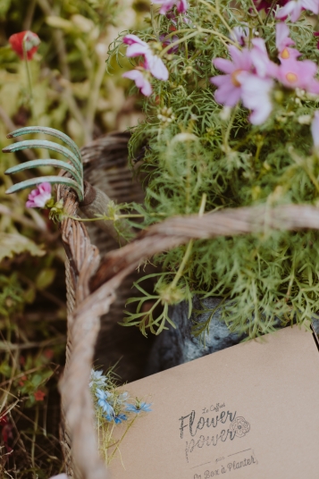 la-box-a-planter-2019-8231