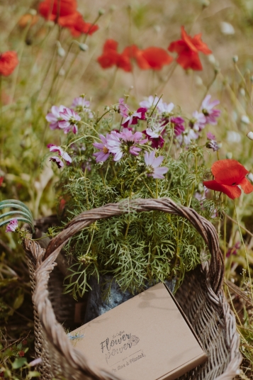 la-box-a-planter-2019-8232
