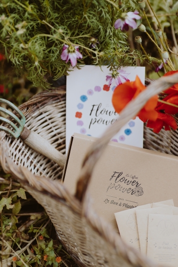 la-box-a-planter-2019-8254
