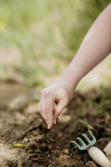 la-box-a-planter-2019-8360