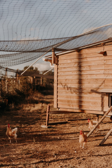 coteaux-nantais-biodynamie-1Q9A8408