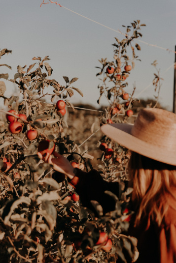 coteaux-nantais-biodynamie-1Q9A8430