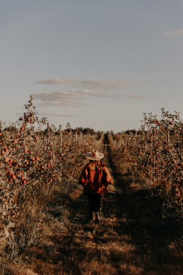 coteaux-nantais-biodynamie-1Q9A8432
