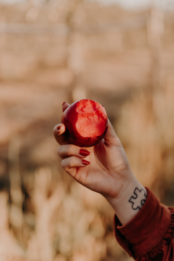 coteaux-nantais-biodynamie-1Q9A8441