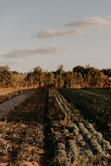 coteaux-nantais-biodynamie-1Q9A8447