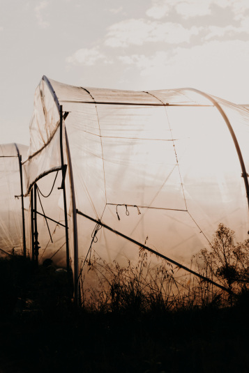 coteaux-nantais-biodynamie-1Q9A8448