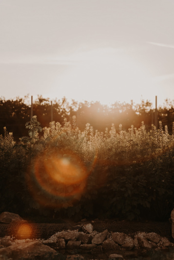 coteaux-nantais-biodynamie-1Q9A8464