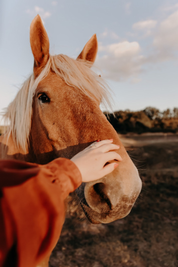 coteaux-nantais-biodynamie-1Q9A8486
