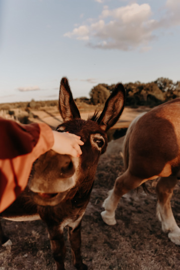 coteaux-nantais-biodynamie-1Q9A8489