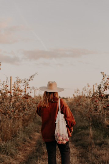 coteaux-nantais-biodynamie-1Q9A8510