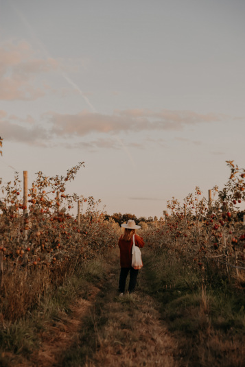 coteaux-nantais-biodynamie-1Q9A8513