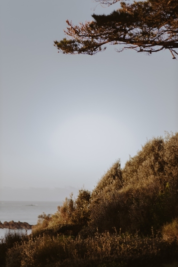 Maison-Kanope-autmn-winter-2020-4952