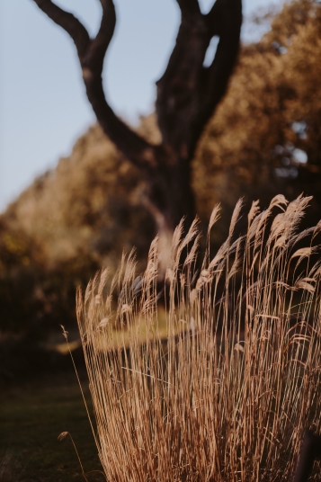 Maison-Kanope-autmn-winter-2020-4986