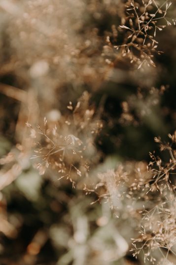 manie-yoga-nantes-21-5423-scaled