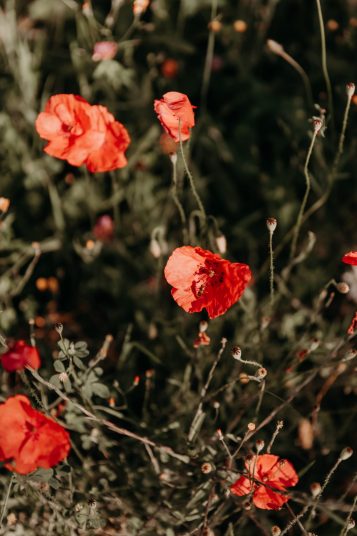 manie-yoga-nantes-21-5706-scaled