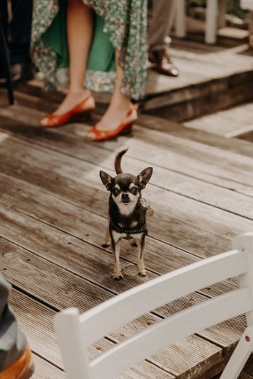 mariage-marie-robin-7862-scaled