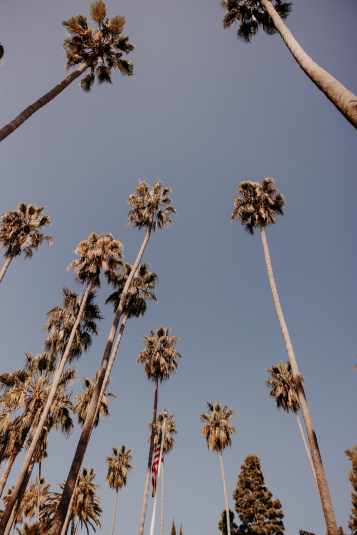 mlle-cabestan-losangeles-2040