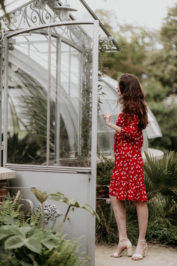 qlf-2-mai-2019-4822
