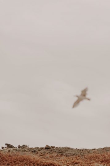 mariage-chloe-quentin-laique-7443-scaled