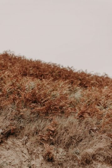 mariage-chloe-quentin-laique-7544-scaled