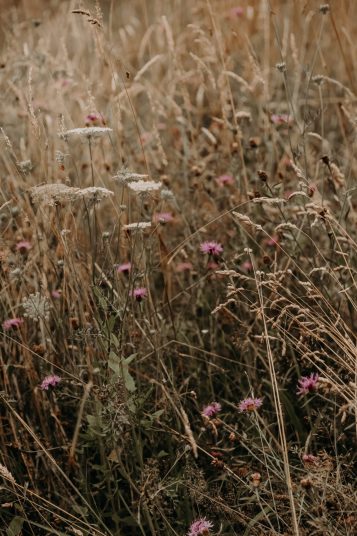 mariage-segolene-arnaud-3442-scaled