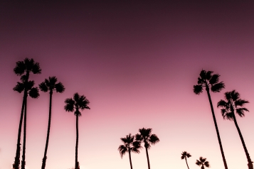 sixt-photos-usa-8081