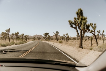 sixt-photos-usa-9046