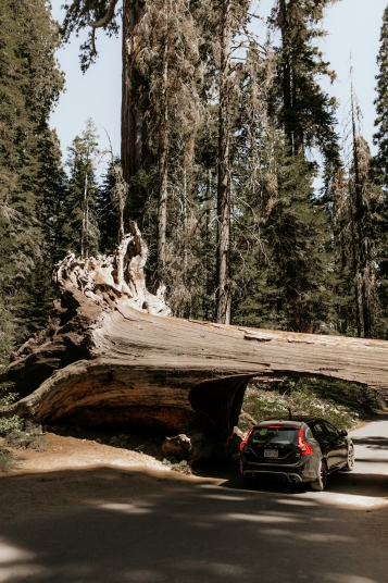 sixt-photos-usa-9076